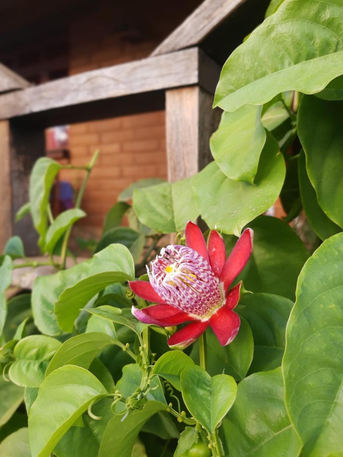 Huayapam Yu'U Lodge San Andrés Huayapan Екстериор снимка