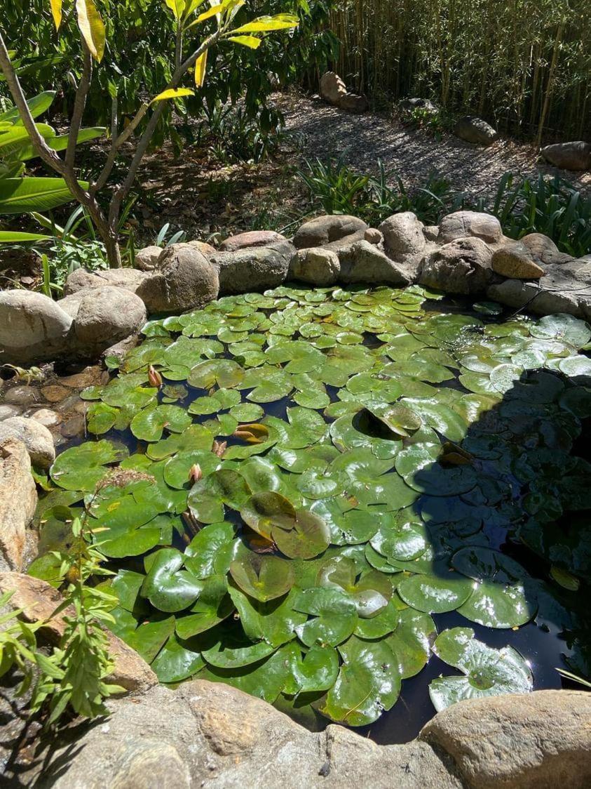 Huayapam Yu'U Lodge San Andrés Huayapan Екстериор снимка